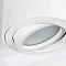 Светильник Arte Lamp A5559PL-1WH