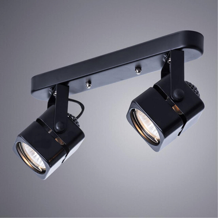 Спот Arte Lamp A1315PL-2BK