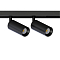 Arte Lamp A7260PL-2BK