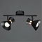 Спот Arte Lamp A1406AP-2BK